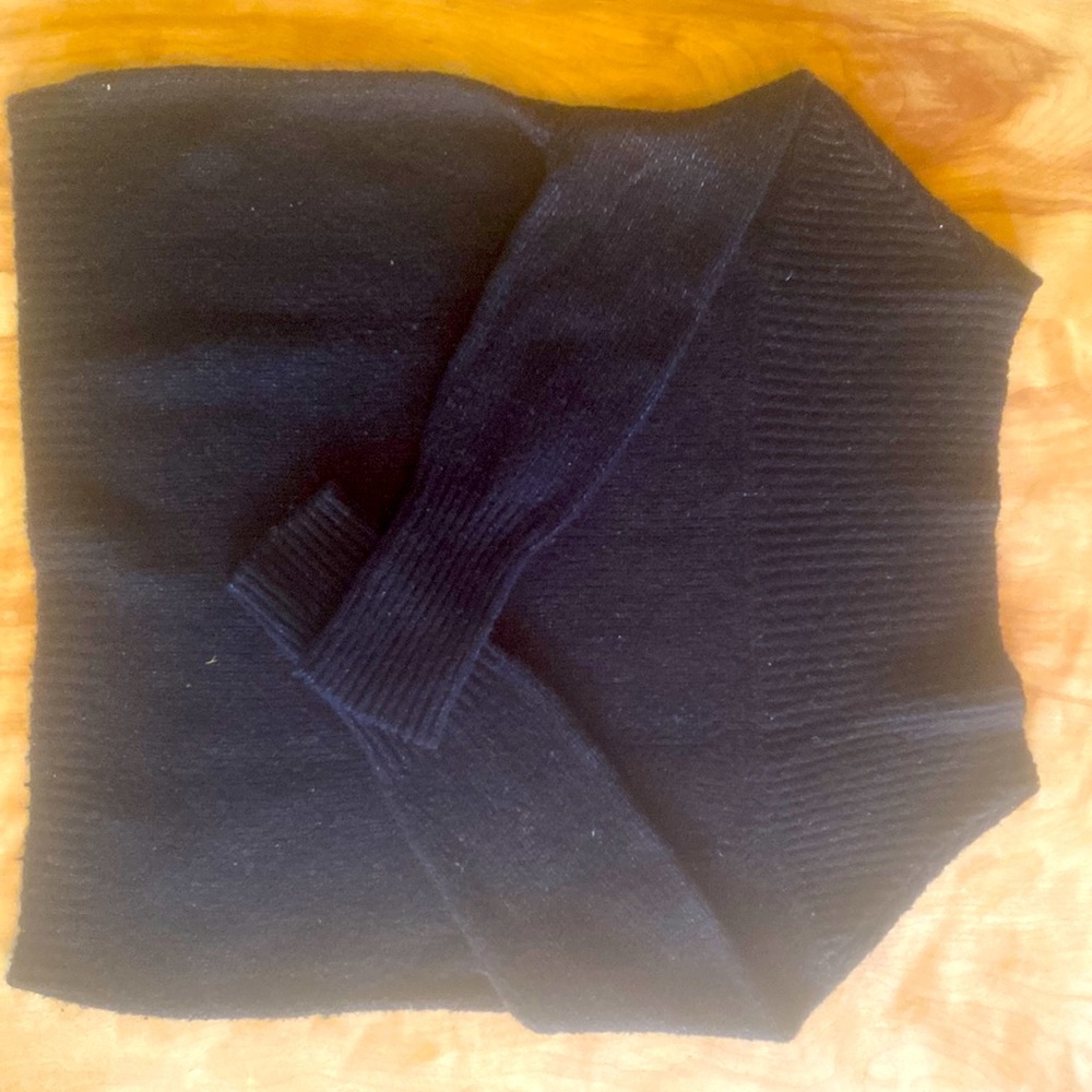 Zara Knit cowl neck sweater.